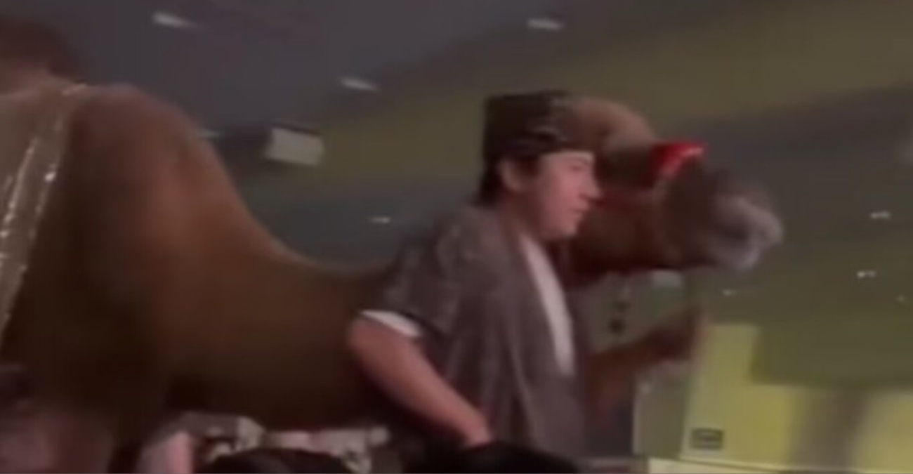 ΒΙΝΤΕΟ: Καμήλα κλώτσησε γυναίκα θεατή σε χριστουγεννιάτικη παράσταση εκκλησίας