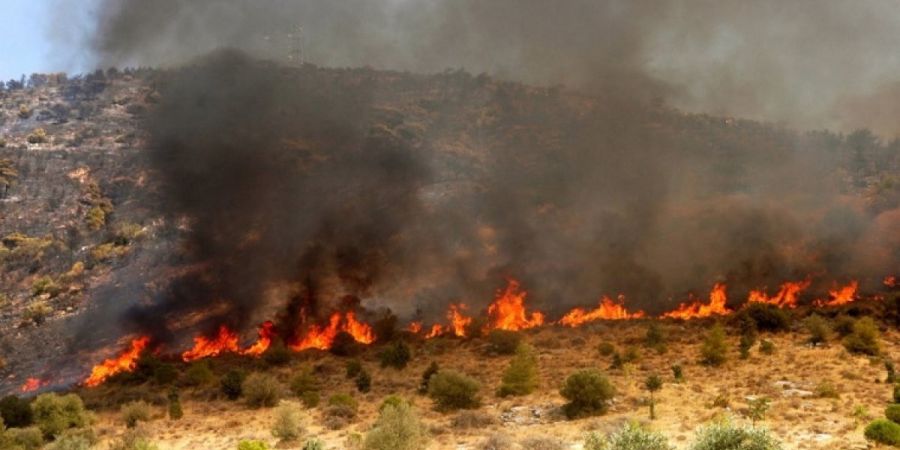 ΛΑΡΝΑΚΑ: Υπό έλεγχο δασική πυρκαγιά στη Μοσφιλωτή