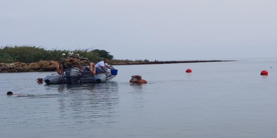 ΛΑΡΝΑΚΑ: Άρχισαν να μαζεύουν τις μέδουσες από τις παραλίες του Πρωταρά 