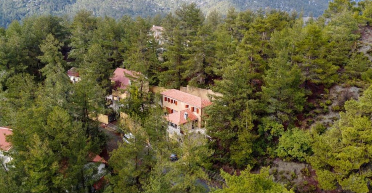 Δάσος, τζάκι και χαλάρωση: Ένα σαλέ κρυμμένο στο δάσος του Αμίαντου Τροόδους – Δείτε φωτογραφίες