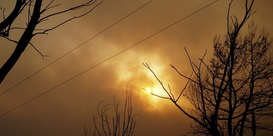 Φωτιά στον Έβρο: Μάχη με τις φλόγες για να σωθεί το δάσος της Δαδιάς