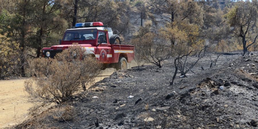 ΠΑΦΟΣ: Έκλεισε δρόμο η φωτιά - Ύστατες προσπάθειες δασοπυροσβεστών