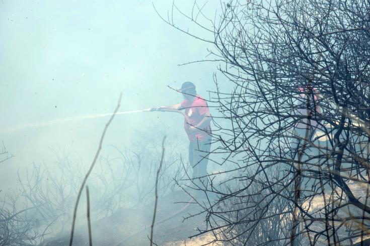 Σε επίπεδο «κόκκινου συναγερμού» ο κίνδυνος πρόκλησης δασικών πυρκαγιών 