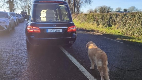 Σκύλος στο εξωτερικό έγινε viral - Συνόδευσε την ιδιοκτήτρια του στην τελευταία της κατοικία - Βίντεο 