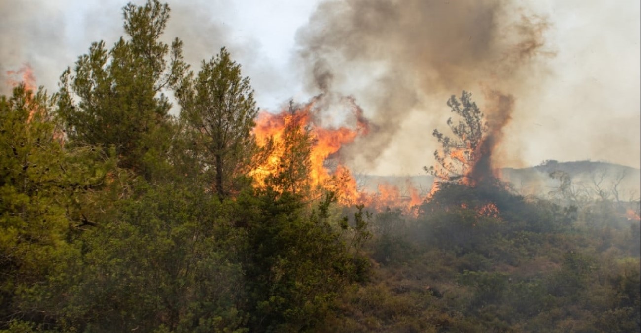 Περιορίστηκαν οι πυρκαγιές σε Μαγνησία, Ρόδο, Λαμία, Κέρκυρα, Κάρυστο και Άρτα
