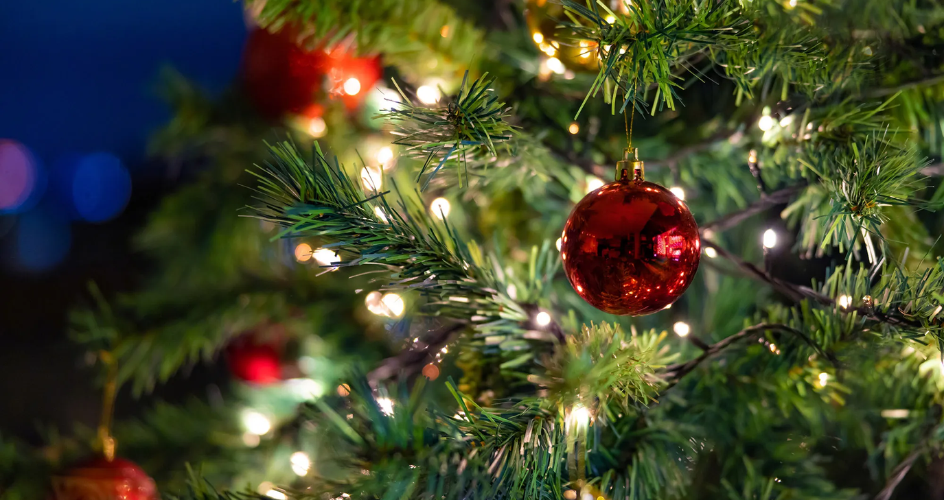 Βανδάλισαν τον χριστουγεννιάτικο διάκοσμο της Λάρνακας - Η έκκλήση του Δήμου - Δείτε φωτογραφίες 