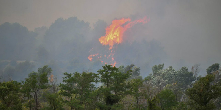 ΠΥΡΚΑΓΙΑ-ΠΑΧΝΑ: Ενισχύονται οι δυνάμεις πυρόσβεσης - Κατακαίει άγρια βλάστηση