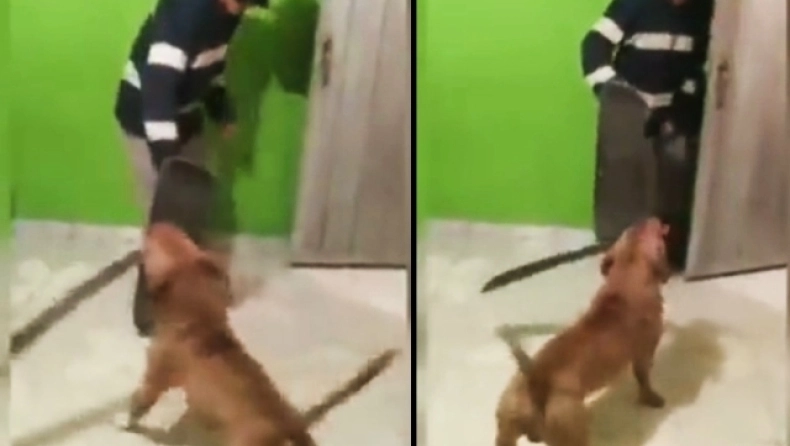 Το είδαμε κι' αυτό! Σκύλος επιτέθηκε στον ιδιοκτήτη του με ματσέτα στις ΗΠΑ - Βίντεο