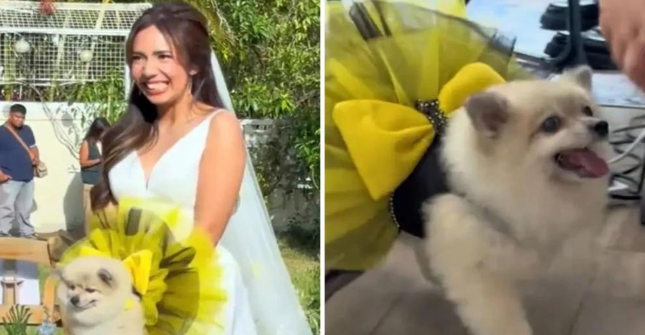 Φιλιππίνες: Νύφη πήγε στο γάμο της με σκύλο στα χέρια αντί για ανθοδέσμη