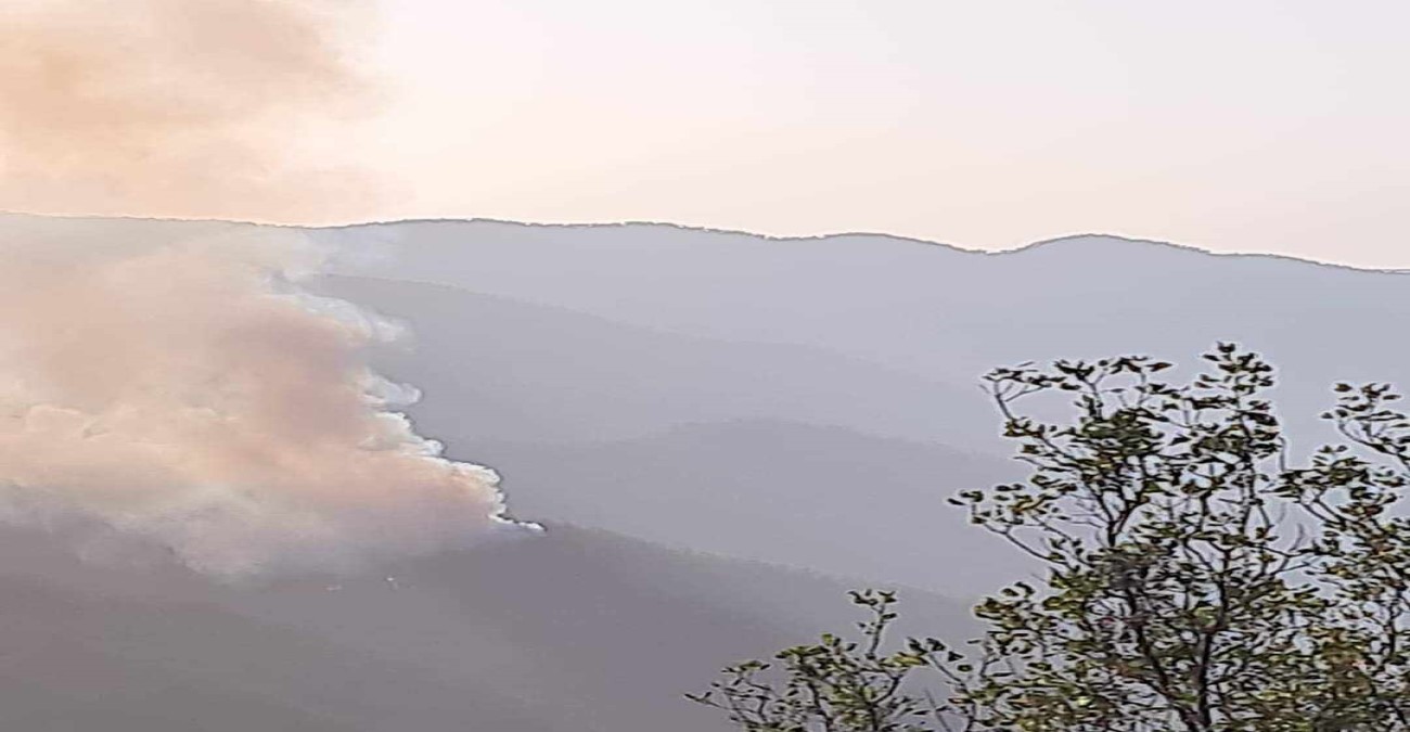 ΔΗΣΥ για πυρκαγιά στο δάσος Πάφου: «Απετράπη μια τεραστίων διαστάσεων οικολογική καταστροφή»