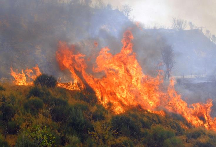 Υπό πλήρη έλεγχο η φωτιά μεταξύ των κοινοτήτων Γιόλου και Σίμου που κατέκαψε ενάμιση εκτάριο άγριας βλάστηση