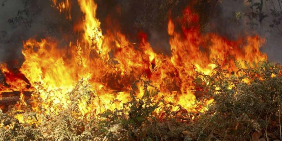 ΠΑΡΕΚΚΛΗΣΙΑ: Πυρκαγιά έκαψε άγρια βλάστηση - Βοήθησαν εθελοντές