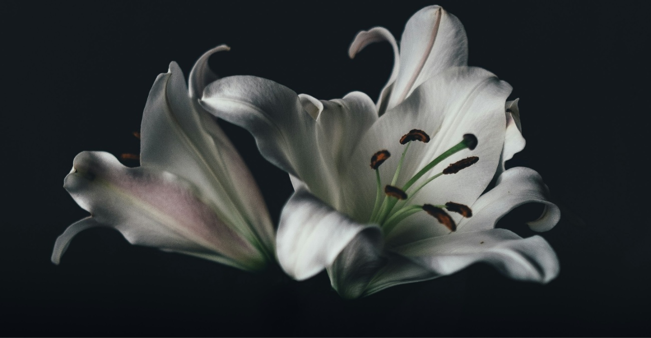 Θλίψη στην Λευκωσία: Έφυγε από την ζωή ο 67χρονος Ανδρέας – Το τελευταίο αντίο και η παράκληση της οικογένειας