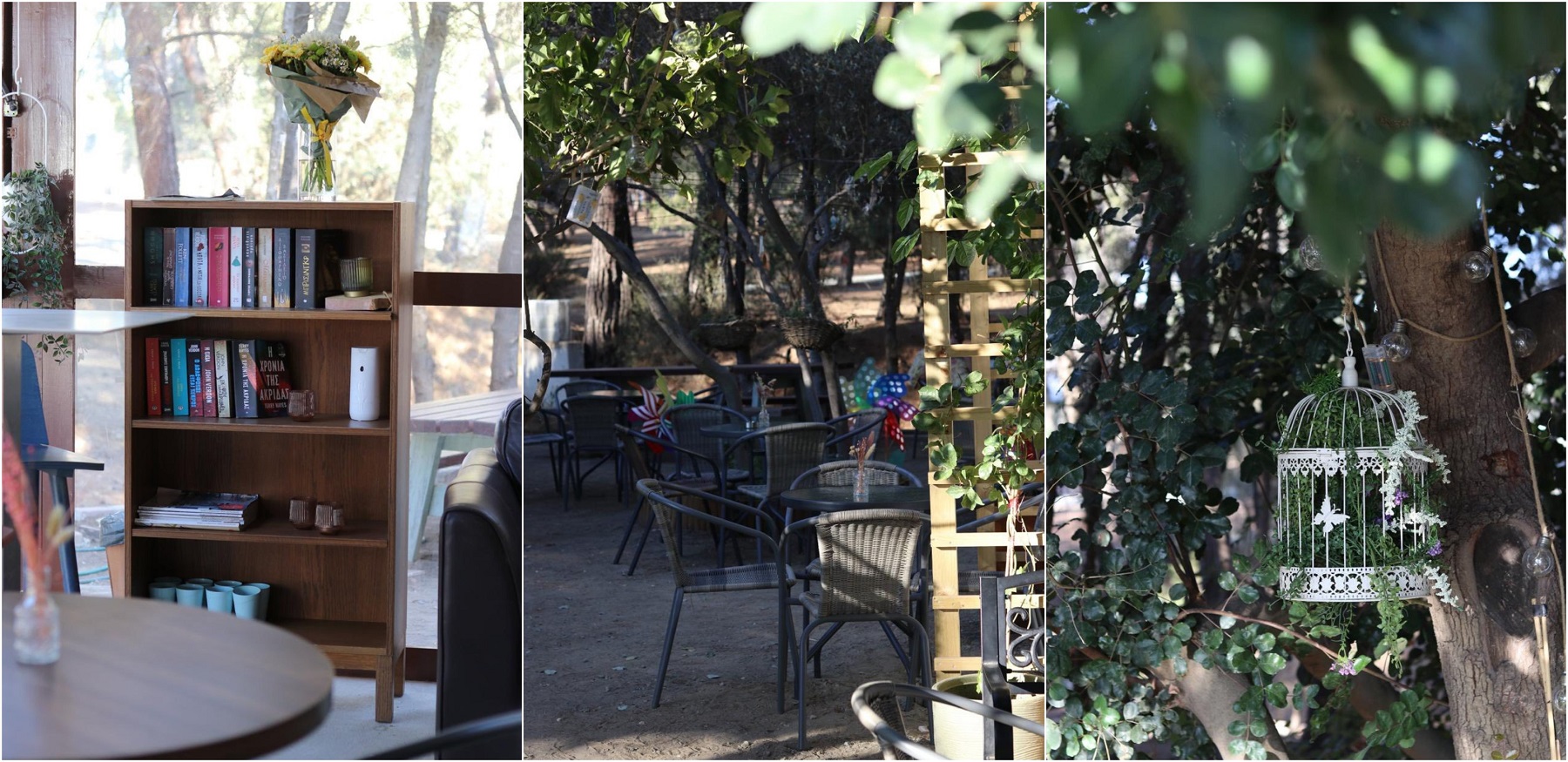 Ναι, είναι στην Κύπρο - Ένα café βγαλμένο από παραμύθι, μέσα στο δάσος – Φημίζεται για τα γλυκά του - Φωτογραφίες