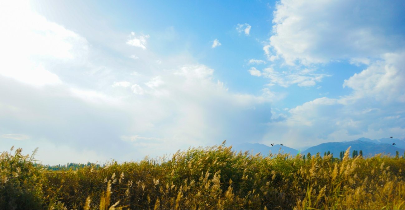 Καιρός για καλοκαίρι… αγγίζει τους 30 βαθμούς κελσίου ο υδράργυρος – Πότε και πού αναμένονται βροχές 