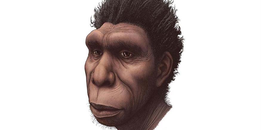 Homo Bodoensis: Ανακαλύφθηκε νέος πρόγονος του ανθρώπου που ζούσε στην Αφρική πριν 500.000 χρόνια