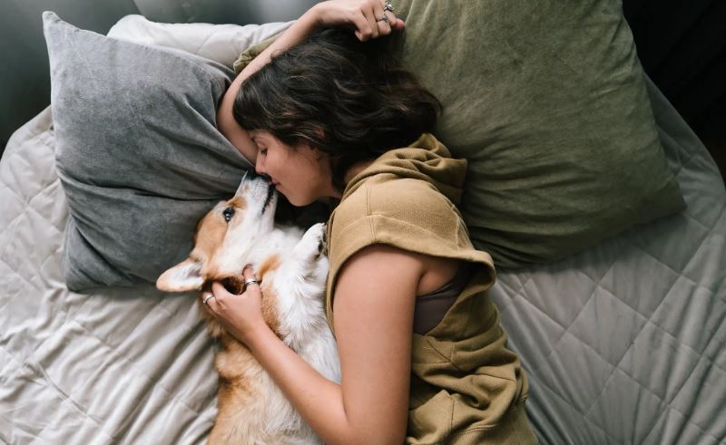 Ζώδια: Προβλέψεις για σήμερα Σάββατο 8 Νοεμβρίου 2025