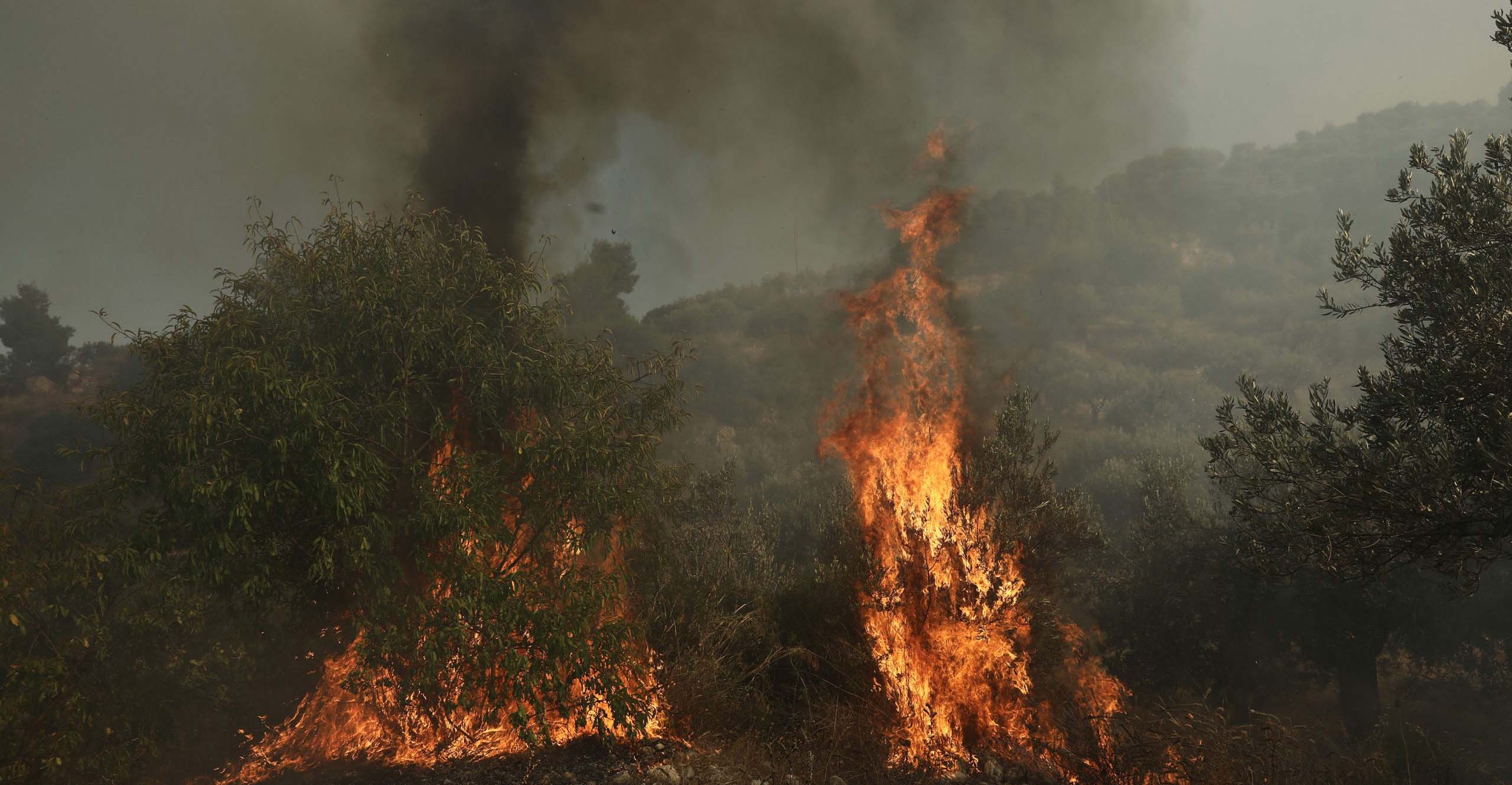 Διέταξε διοικητική έρευνα για τη φωτιά στο Κρατικό Δάσος Λεμεσού η Μαρία Παναγιώτου - Πληροφορίες για ανθρώπινο λάθος με φωτοβολίδα