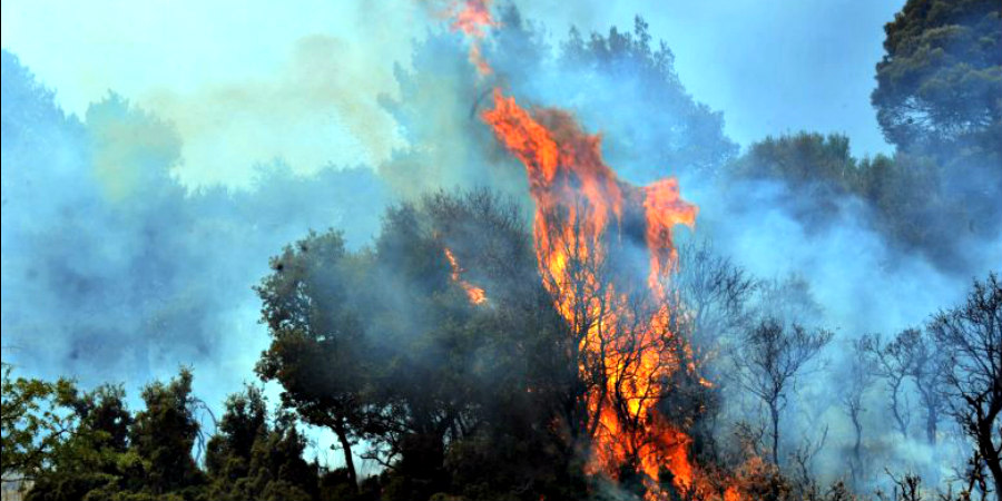 ΚΟΚΚΙΝΟΣ ΣΥΝΑΓΕΡΜΟΣ: Εξαιρετικά μεγάλος ο κίνδυνος έκρηξης πυρκαγιών σε δάση - ΠΡΟΣΟΧΗ