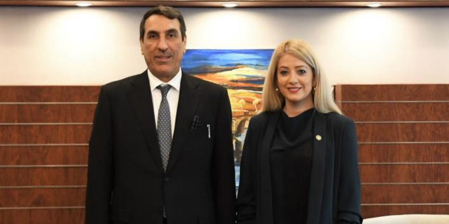 Συνάντηση Προέδρου Βουλής με Πρέσβη Κατάρ: Στο επίκεντρο Κυπριακό, ερευνητικό πρόγραμμα, πανδημία και διμερής συνεργασία