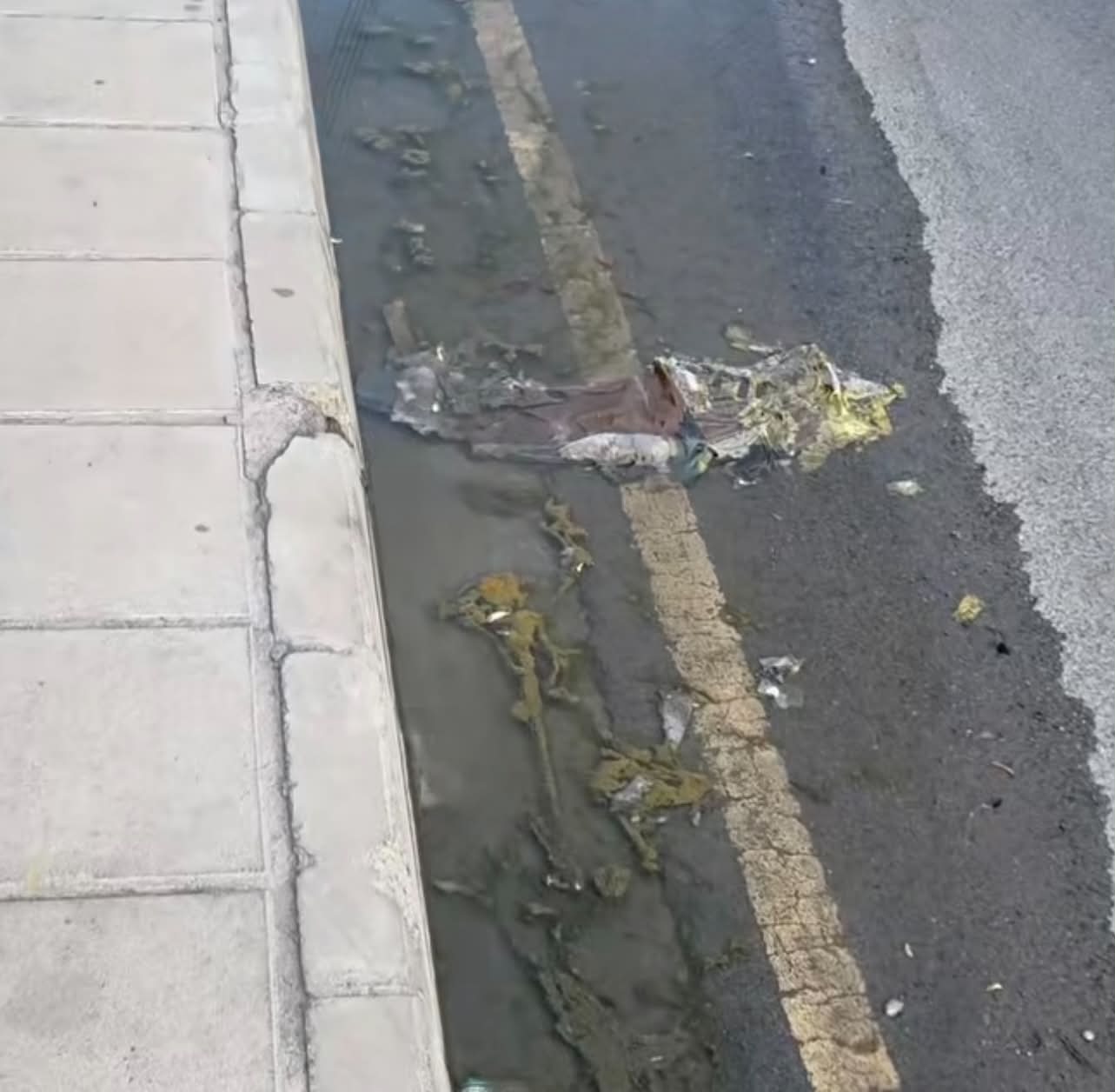 Σοβαρή καταγγελία: Διαρροή νερού εδώ και 3 εβδομάδες στο Γέρι - «Μούχλιασε το πεζοδρόμιο» - Δείτε βίντεο