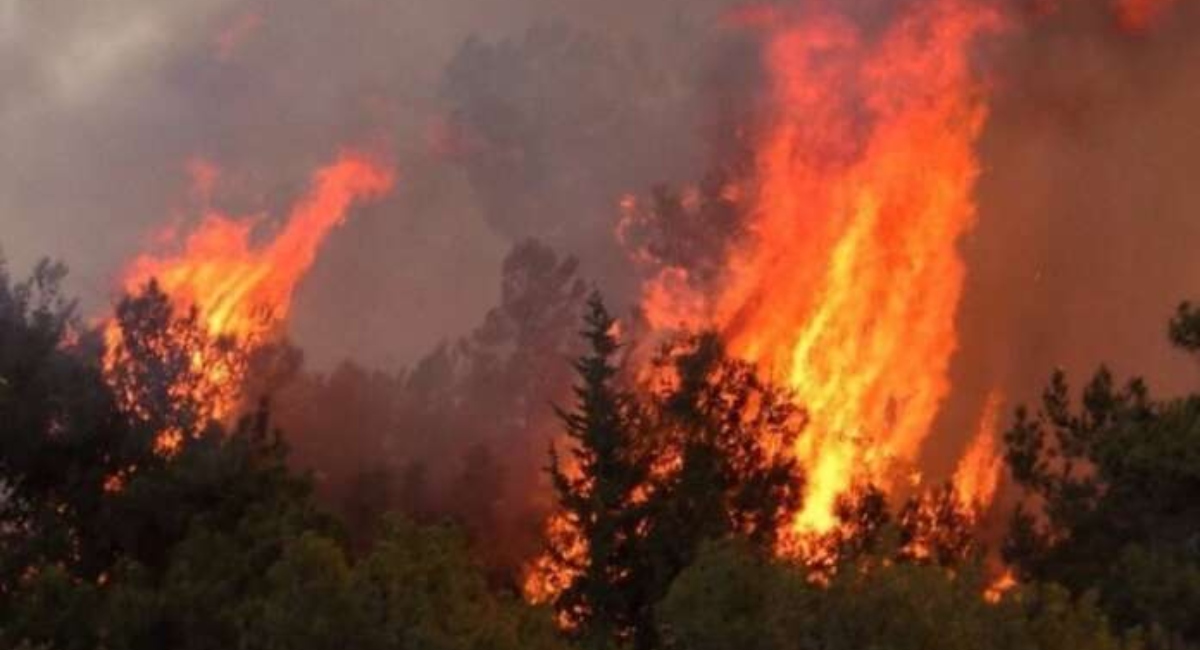 Διαχειρίσιμη η Πυρκαγιά στην Πάφο - Αυξημένος ο κίνδυνος αναζωπυρώσεων