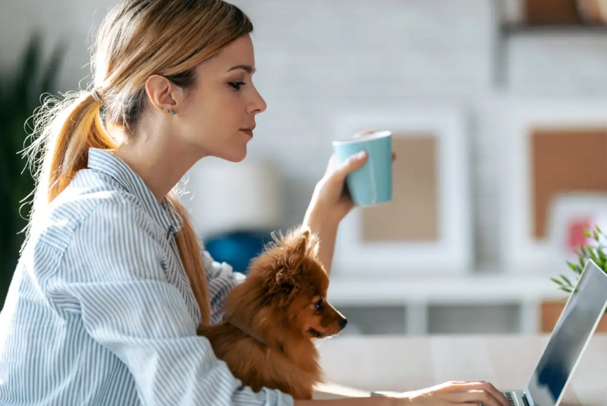 Ζώδια: Προβλέψεις για σήμερα Πέμπτη 29 Ιανουαρίου 2026