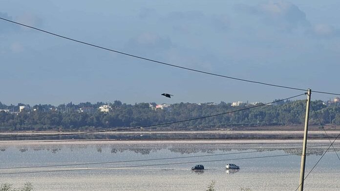 Κολλημένα παραμένουν τα οχήματα στην Αλυκή – Δύσκολος ο απεγκλωβισμός τους – Στους ιδιοκτήτες τα έξοδα