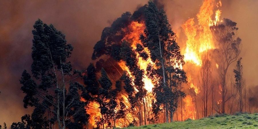 Ισπανία: Μαίνονται οι πυρκαγιές στον βορρά, που προκάλεσαν οι υψηλές θερμοκρασίες
