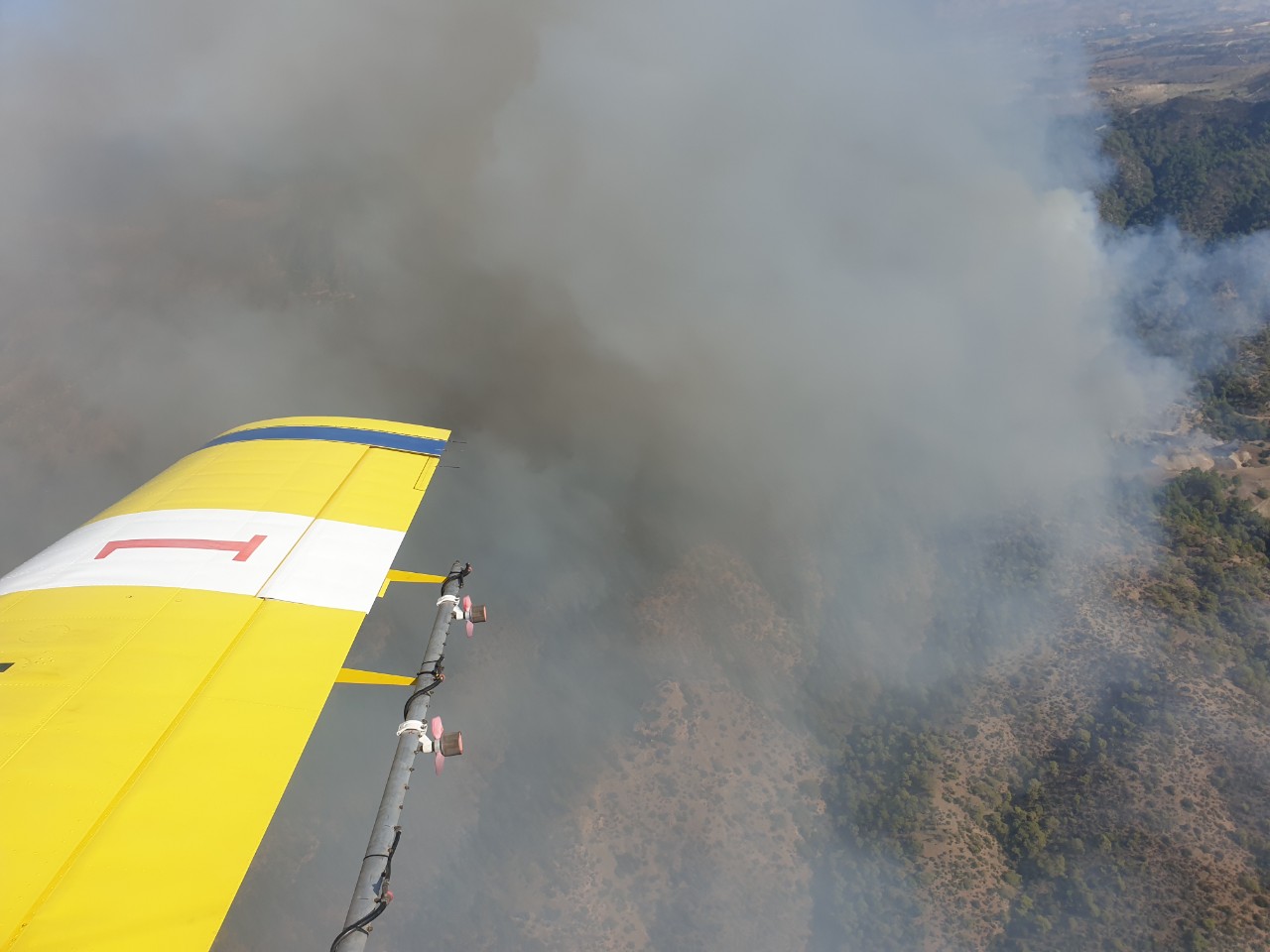 Το Υπουργείο Γεωργίας καταδικάζει τις κακόβουλες πυρκαγιές στον Ακάμα
