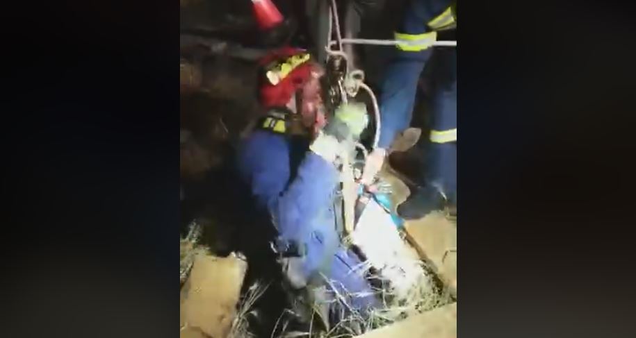 ΛΑΡΝΑΚΑ: Τηλεφώνημα κινητοποιήσε την πυροσβεστική- Τετράποδη ψυχούλα έπεσε σε πηγάδι- VIDEO