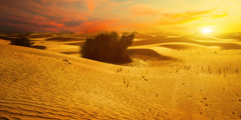 Η άμμος είναι ο νέος χρυσός -Τρέχουν να μαζέψουν από παραλίες και ποτάμια