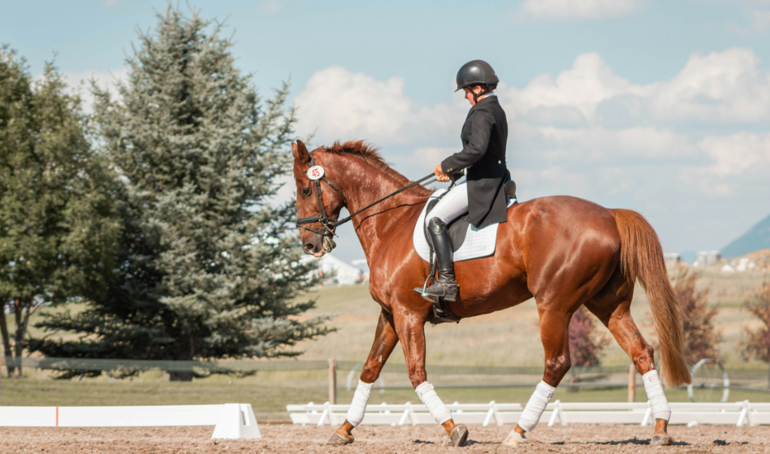 Έρχεται πρόστιμο για όσους τρέχουν με άλογο, τινάζουν χαλιά, απλώνουν μπουγάδα  ή γαυγίζει ο σκύλος τους - Τα  22 παράξενα αδικήματα