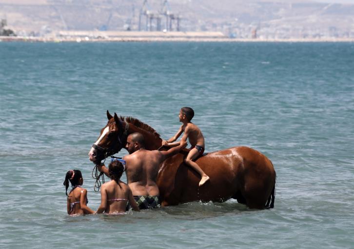 ΛΑΡΝΑΚΑ: Όμορφα πλάνα με άλογα και σκυλιά στη θάλασσα του Μενεού - VIDEO