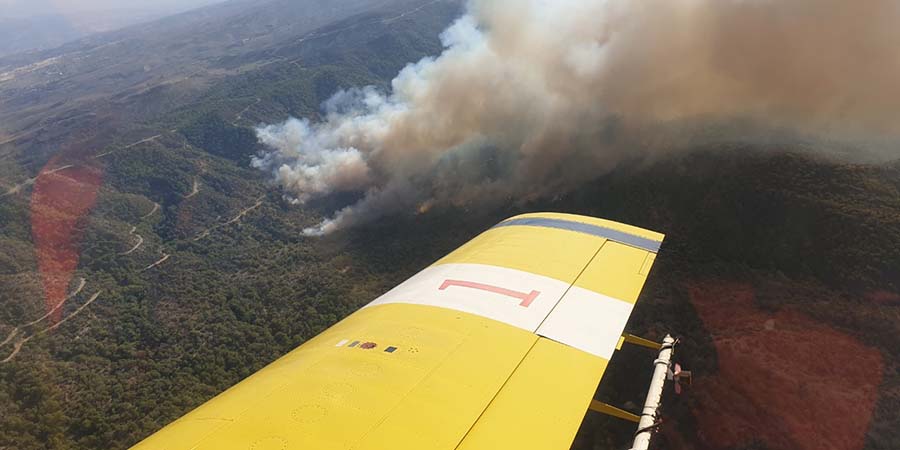 Η νέα πυρκαγιά στο Εθνικό Δασικό Πάρκο Ακάμα από το αεροπλάνο του Τμήματος Δασών – ΦΩΤΟΓΡΑΦΙΕΣ