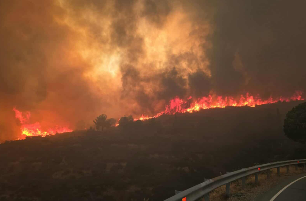 Σε εμπρησμό οφείλεται η φονική πυρκαγιά στη Λεμεσό - Ξεκίνησε από δύο σημεία