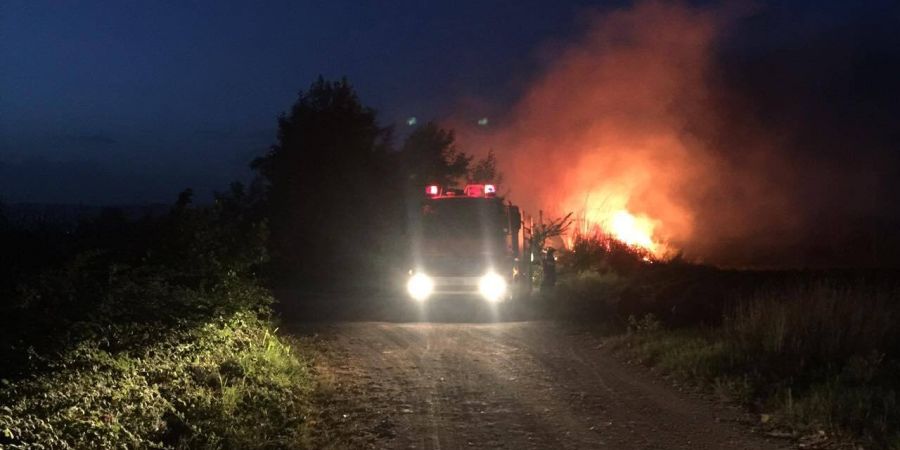 ΛΕΜΕΣΟΣ: Δασική πυρκαγιά από μετασχηματιστή της ΑΗΚ