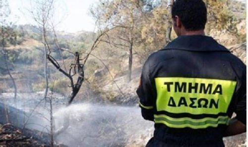 Πρόλαβαν τα χειρότερα: Ξέσπασε πυρκαγιά στην Δρούσεια - Κατέκαψε έκταση με χαμηλή άγρια βλάστηση