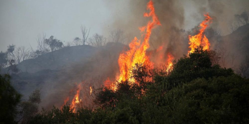 ΛΑΡΝΑΚΑ: Υπό πλήρη έλεγχο δασική πυρκαγιά στην κοινότητα Τρούλλων