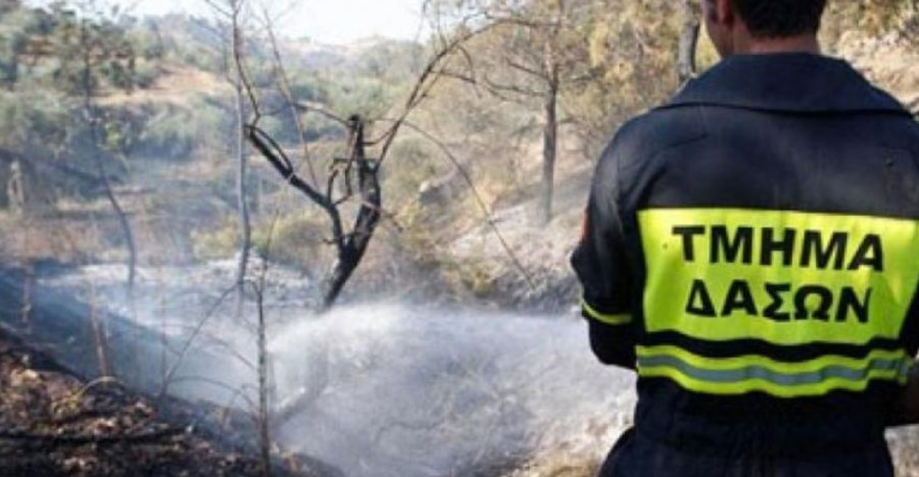 Φωτιά στην Αναρίτα! Σε λίγα λεπτά πήρε διαστάσεις – Η άμεση επέμβαση που την «έσβησε»