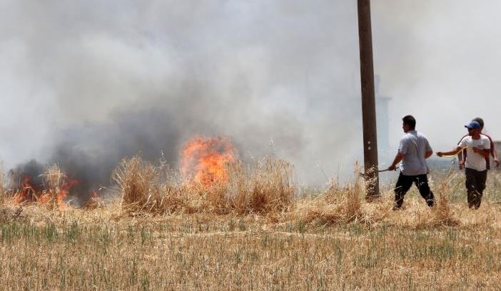 ΛΑΡΝΑΚΑ: Κατασβέστηκε η πυρκαγιά που ξέσπασε στη κτηνοτροφική περιοχή Δρομολαξιάς