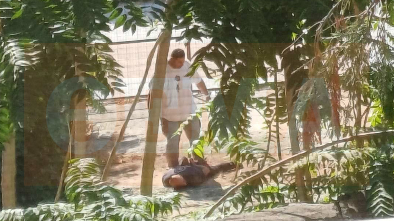«Δεν μετανιώνω» - Η στιγμή της σύλληψης του 40χρονου συζυγοκτόνου στον Βόλο – Δείτε φωτογραφίες και βίντεο