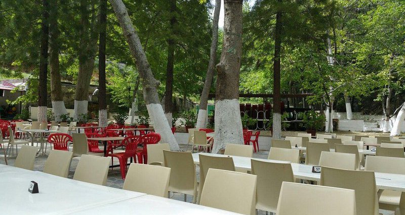 Σου αρέσει η πέστροφα και η σούβλα; Επέστρεψε ένα από τα πιο γνωστά και αγαπημένα εστιατόρια - Δείτε που βρίσκεται