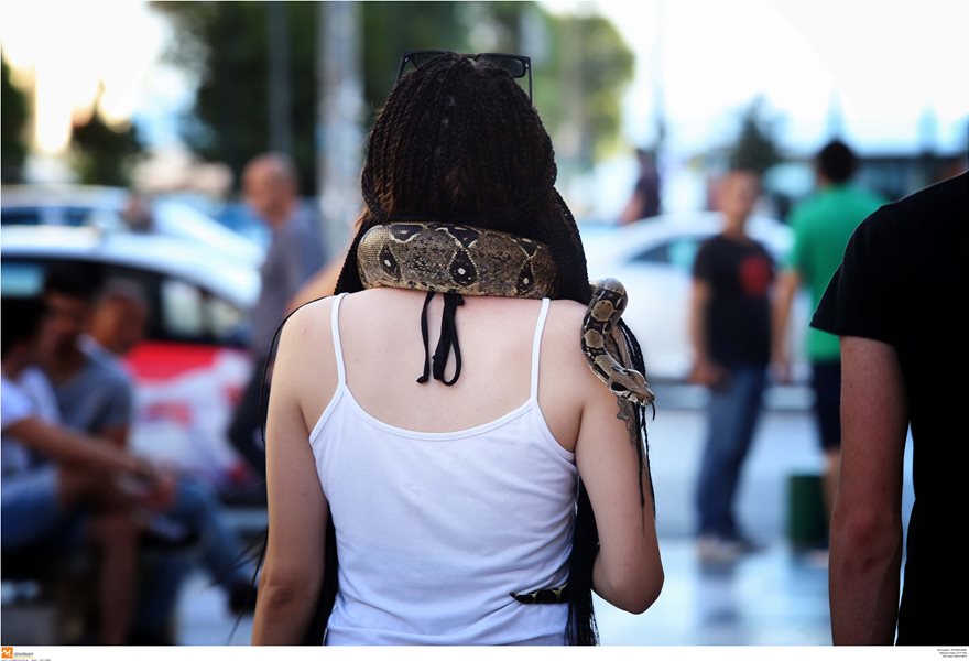 ΕΛΛΑΔΑ: Βγήκε βόλτα αφού «φόρεσε» στο λαιμό ένα... φίδι! - ΦΩΤΟΓΡΑΦΙΕΣ 