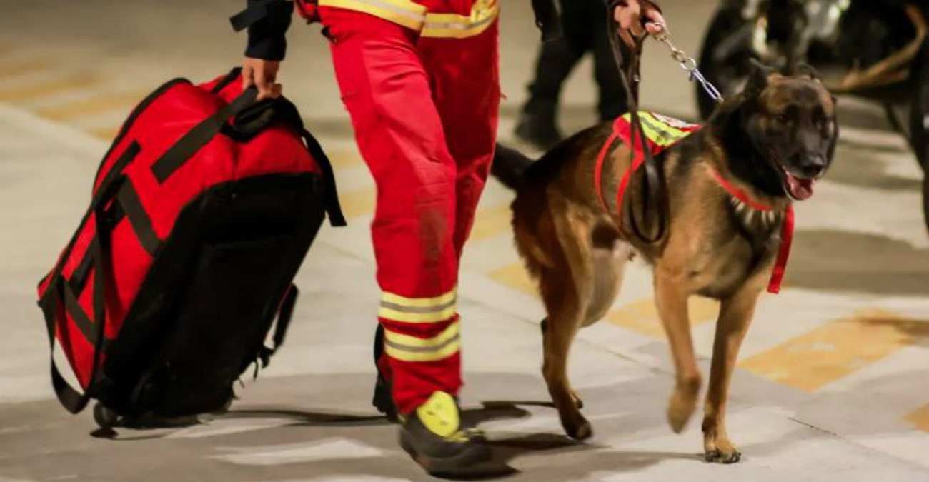 Σεισμός στην Τουρκία: Πέθανε εν ώρα καθήκοντος ο σκύλος διασώστης Proteo – Με τιμές ήρωα τον αποχαιρέτησαν στο Μεξικό - Δείτε βίντεο 