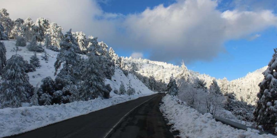 Οδηγοί Προσοχή: Πυκνή ομίχλη σκέπασε το Τρόοδος - Περιορισμένη η ορατότητα - Ποιοι δρόμοι επηρεάζονται