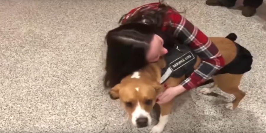 Σκύλος «φύλακας άγγελος» δίνει ελπίδα για κανονική ζωή σε 15χρονη- VIDEO