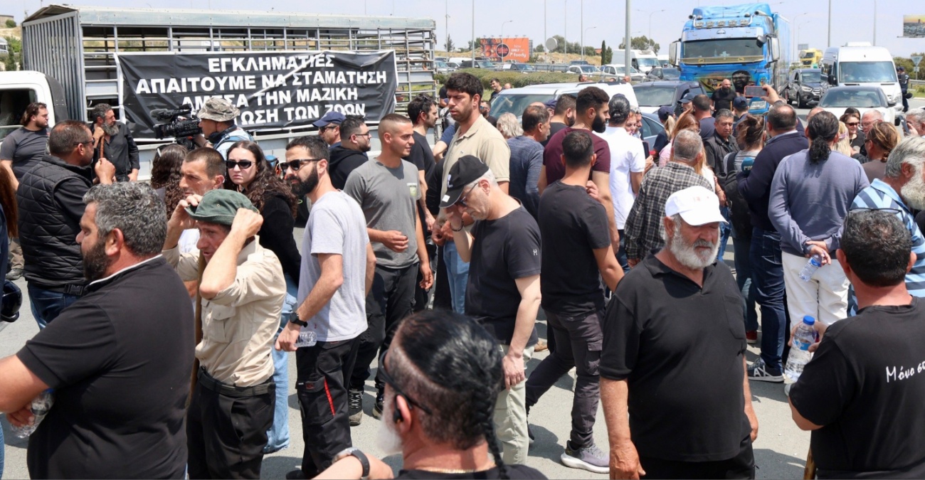 «Πόλεμος» με τον αφθώδη πυρετό: Προσβλέπουν σε καταλυτική παρέμβαση του Προέδρου Χριστοδουλίδη οι κτηνοτρόφοι