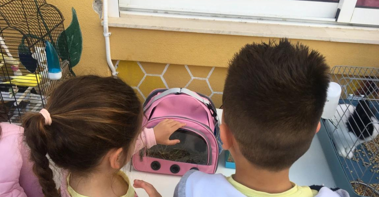 Κρήτη: Μαθητές δημοτικού πήγαν με τα κατοικίδιά τους στο σχολείο