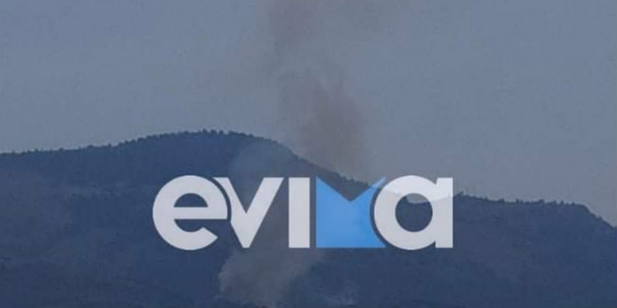  Νέα πυρκαγιά στην Εύβοια – Συναγερμός στην Πυροσβεστική
